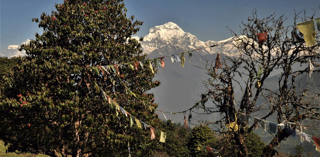 Himalayan Nepal for Nature, Culture and People -Ace vision Nepal