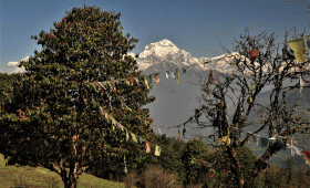 Himalayan Nepal for Nature, Culture and People -Ace vision Nepal